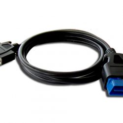 NCOM21 Blue Lead